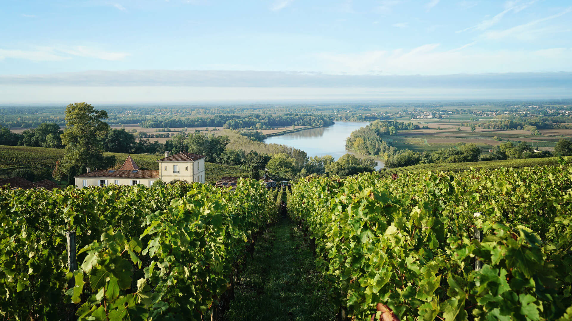 Bordeaux Wine Tasting