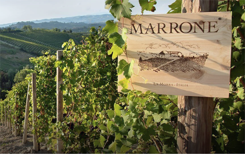 Marrone Wine Dinner at Cru